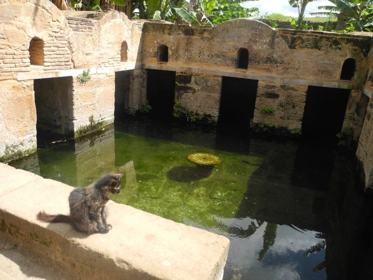 Chellah : le joyau historique de la capitale 1 Chellah : le joyau historique de la capitale