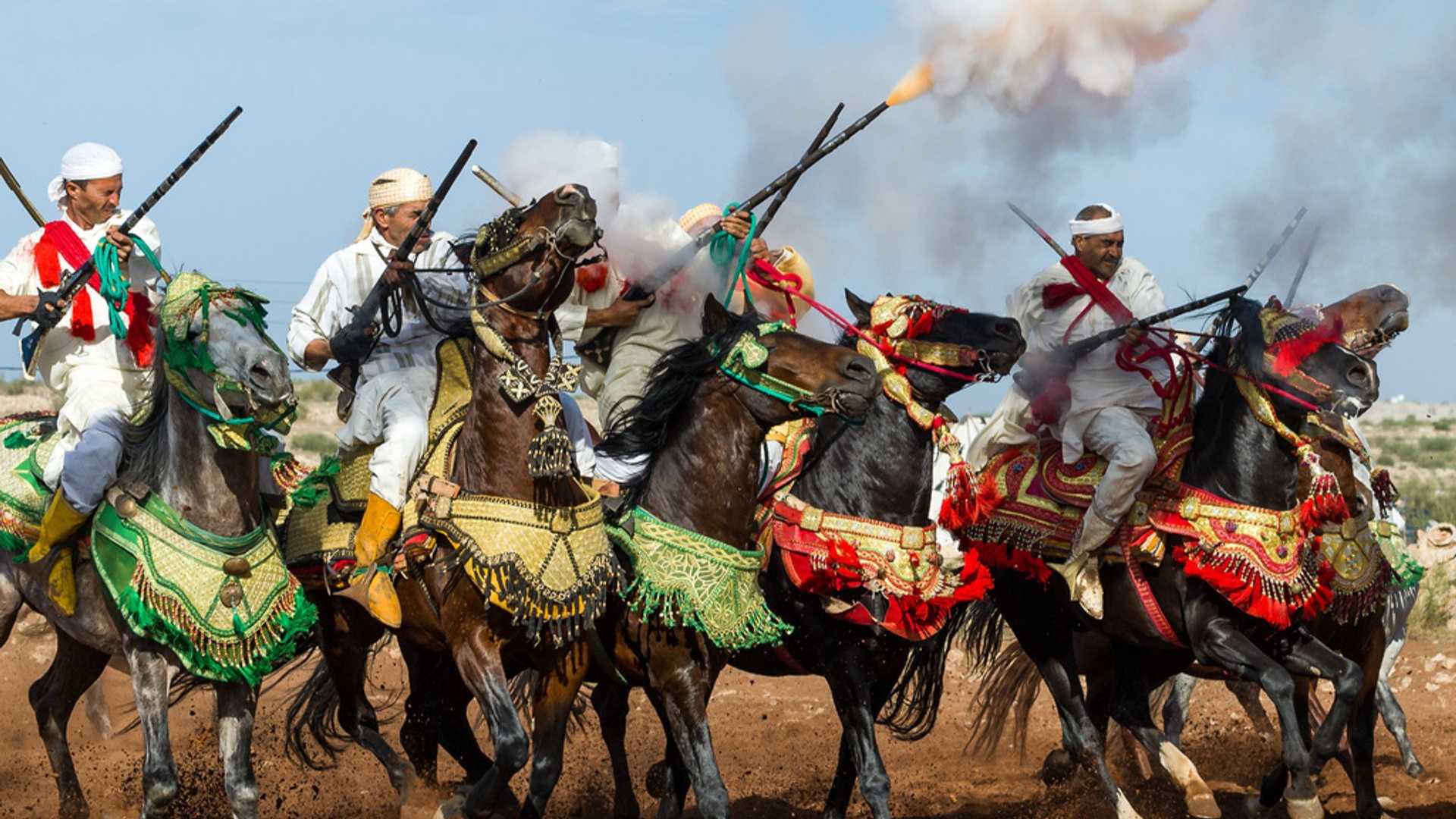 Salon du Cheval d'El Jadida : Immersion dans l'univers de la Tbourida