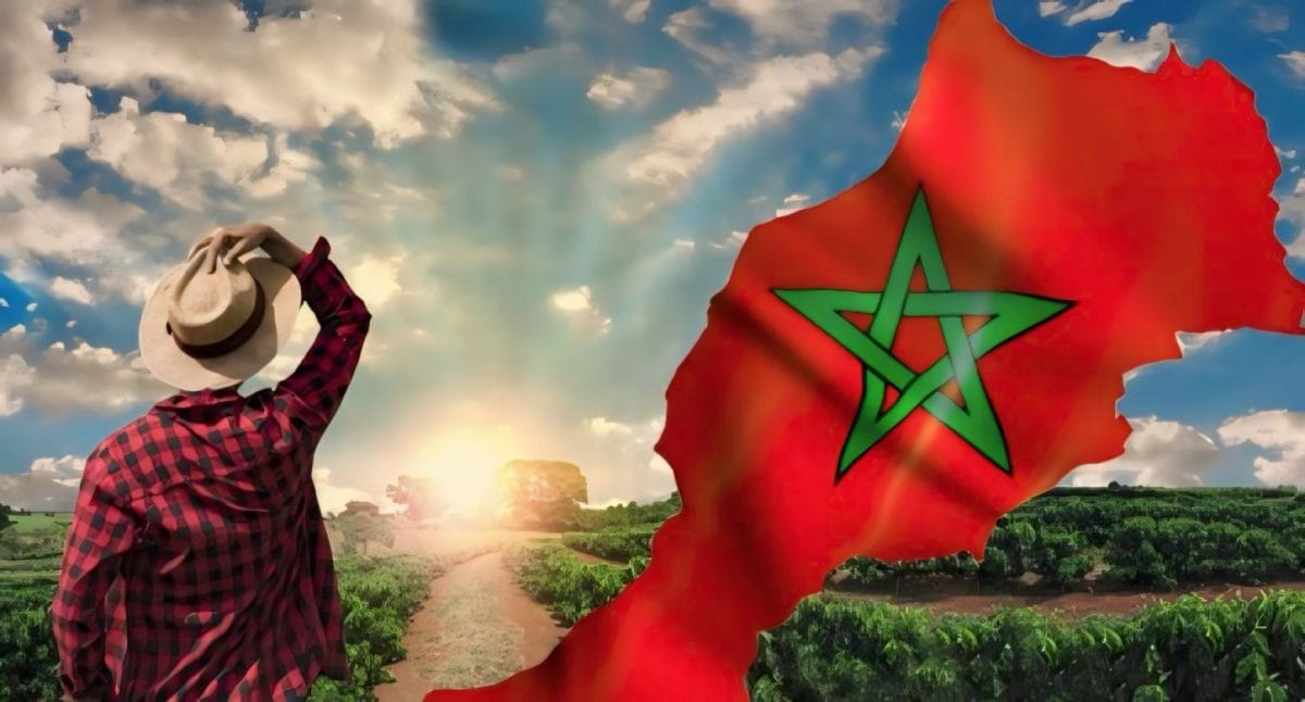 Création d'un groupe de travail Maroc-Allemagne sur l'alimentation et l'agriculture