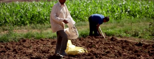 L’agriculture familiale au cœur du monde rural