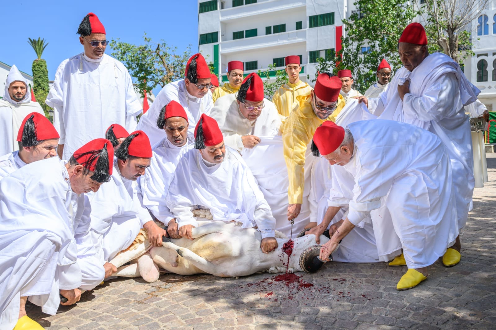 Aïd Al-Adha : le Roi accomplit la prière et reçoit les vœux en cette heureuse occasion