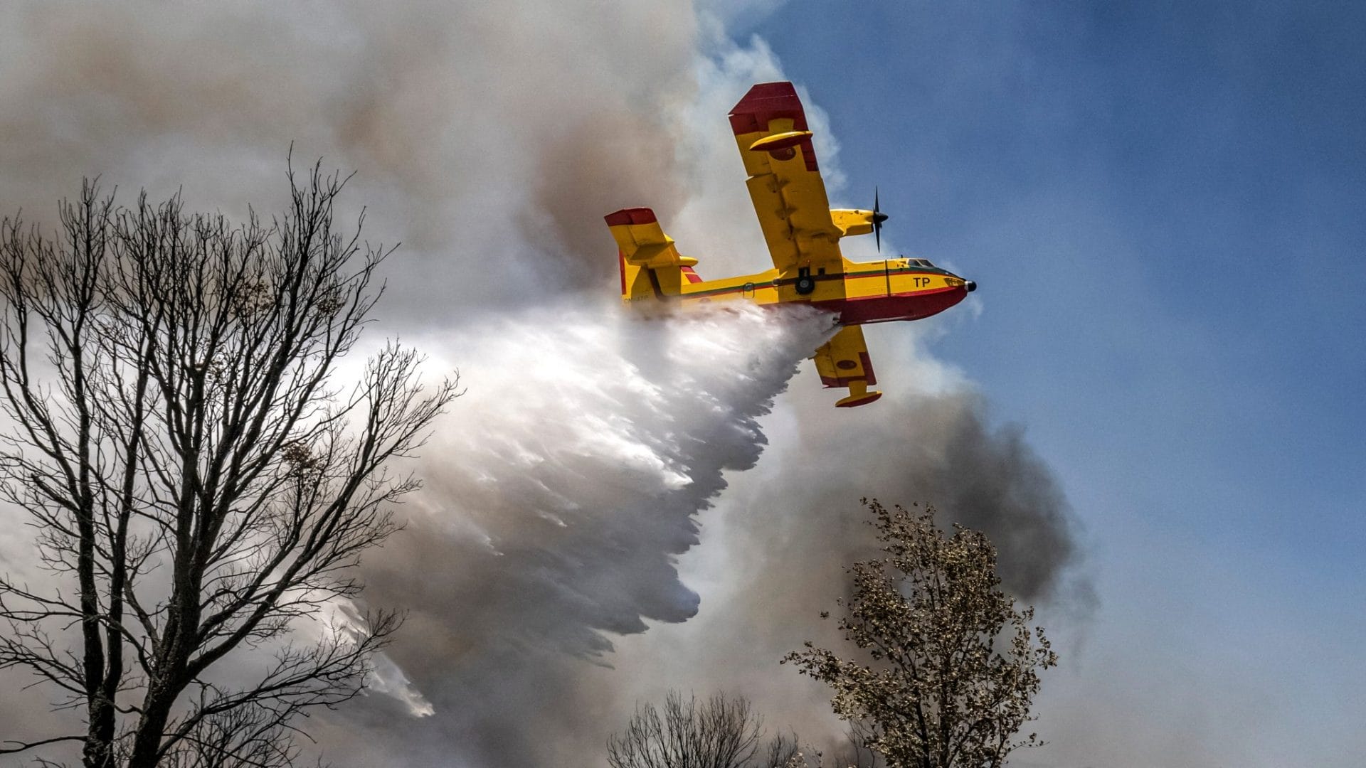 Tanger : incendie dans la forêt de Médiouna