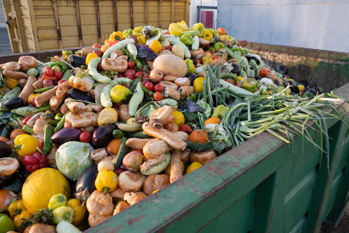 Les Marocains jettent quatre millions de tonnes de nourriture chaque année