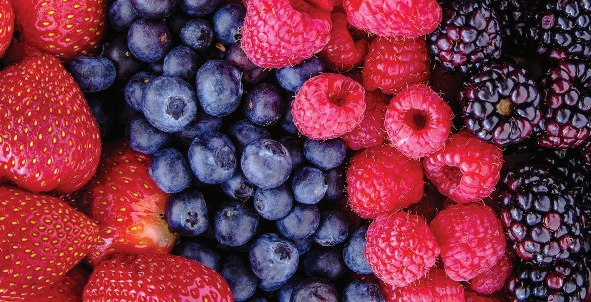 Pénurie de fruits rouges : un signal pour repenser la filière Pénurie de fruits rouges : un signal pour repenser la filière