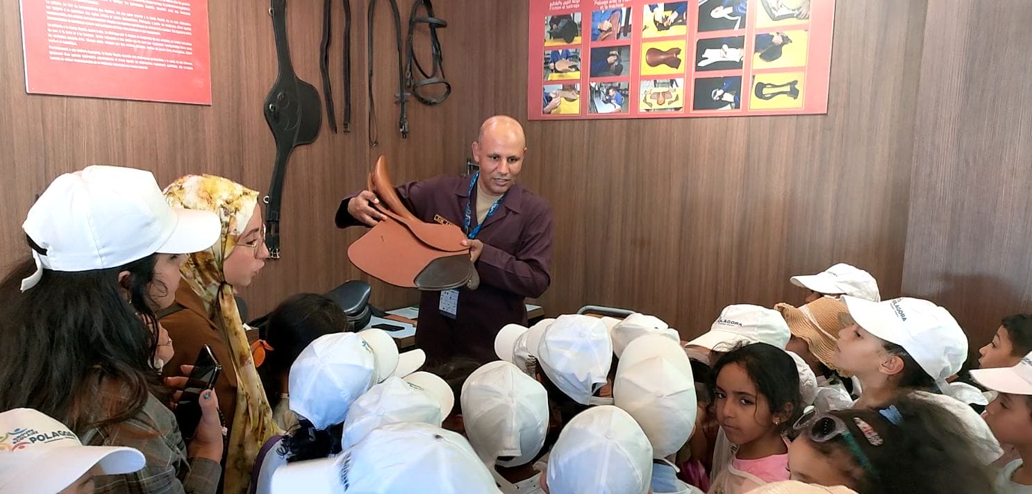 Salon de El Jadidia : le cheval plus qu’une passion Salon de El Jadidia : le cheval plus qu'une passion