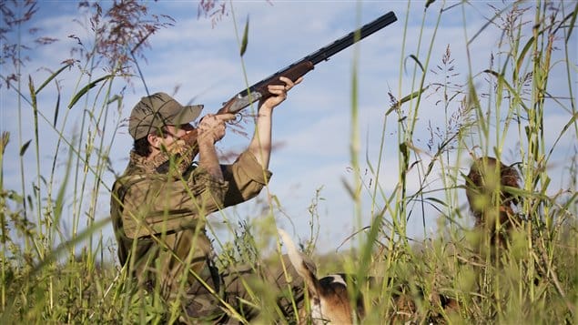 ANEF : ouverture de la saison de chasse 2024-2025