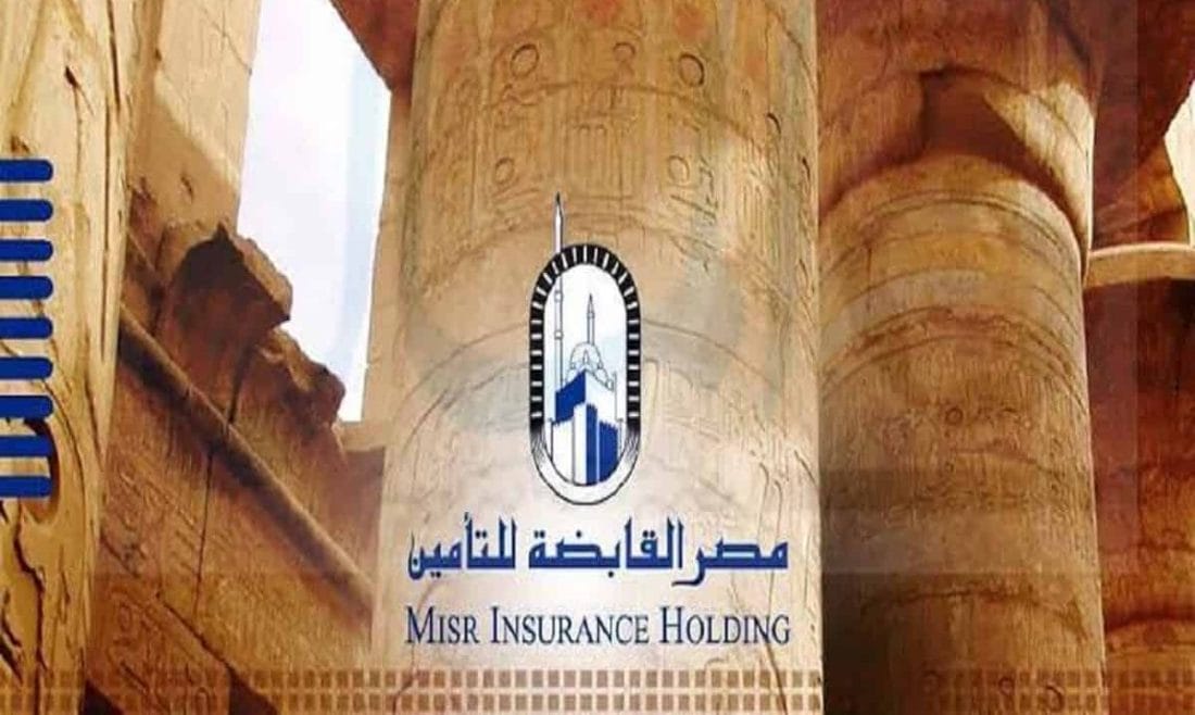 Insurance Holding e1732718008768