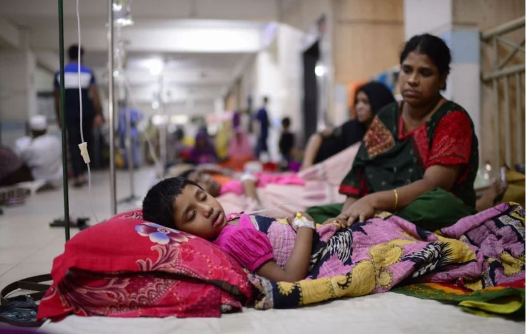 Bangladesh : près de 500 morts dus à la dengue en 2024 Bangladesh : près de 500 morts dus à la dengue en 2024