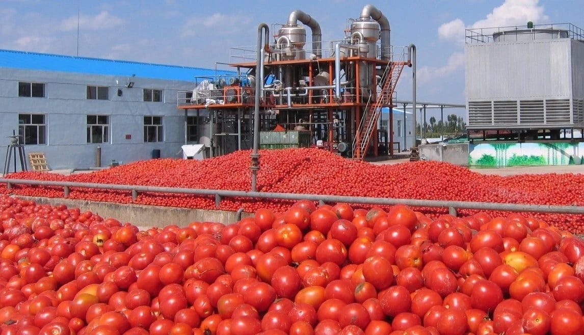 Le Burkina Faso lance une unité de transformation de tomate à 9 millions dollars