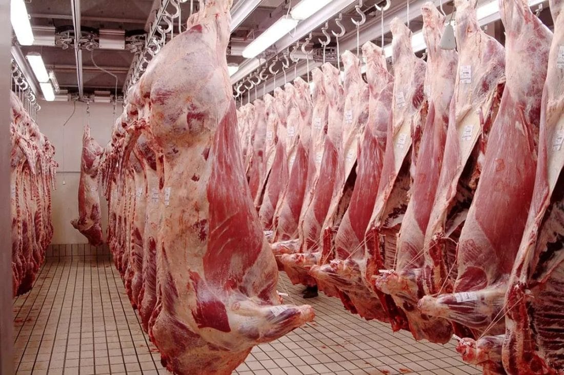 Casablanca : les abattoirs continueront de fonctionner normalement pendant A&iuml;d al-Adha