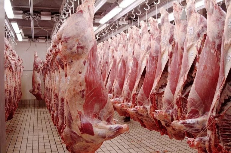 Casablanca : les abattoirs continueront de fonctionner normalement pendant Aïd al-Adha