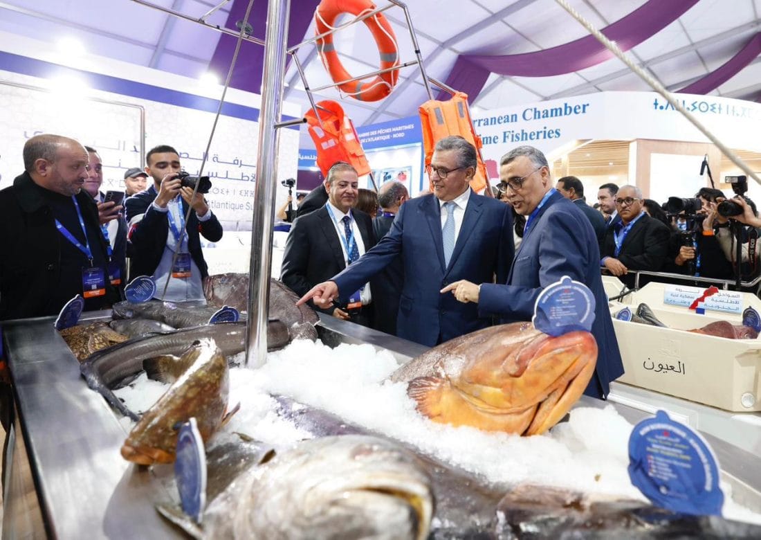 Akhannouch lance la 7ème édition du salon international Halieutis