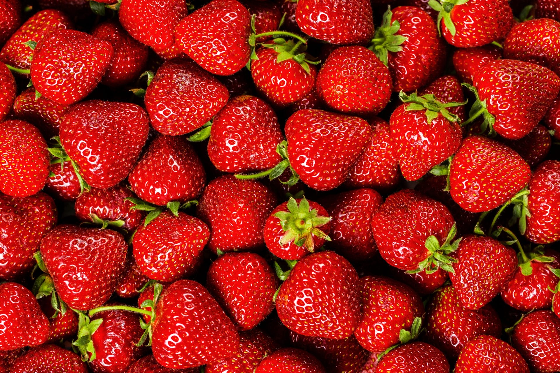 Fraises contaminées, le vrai du faux !