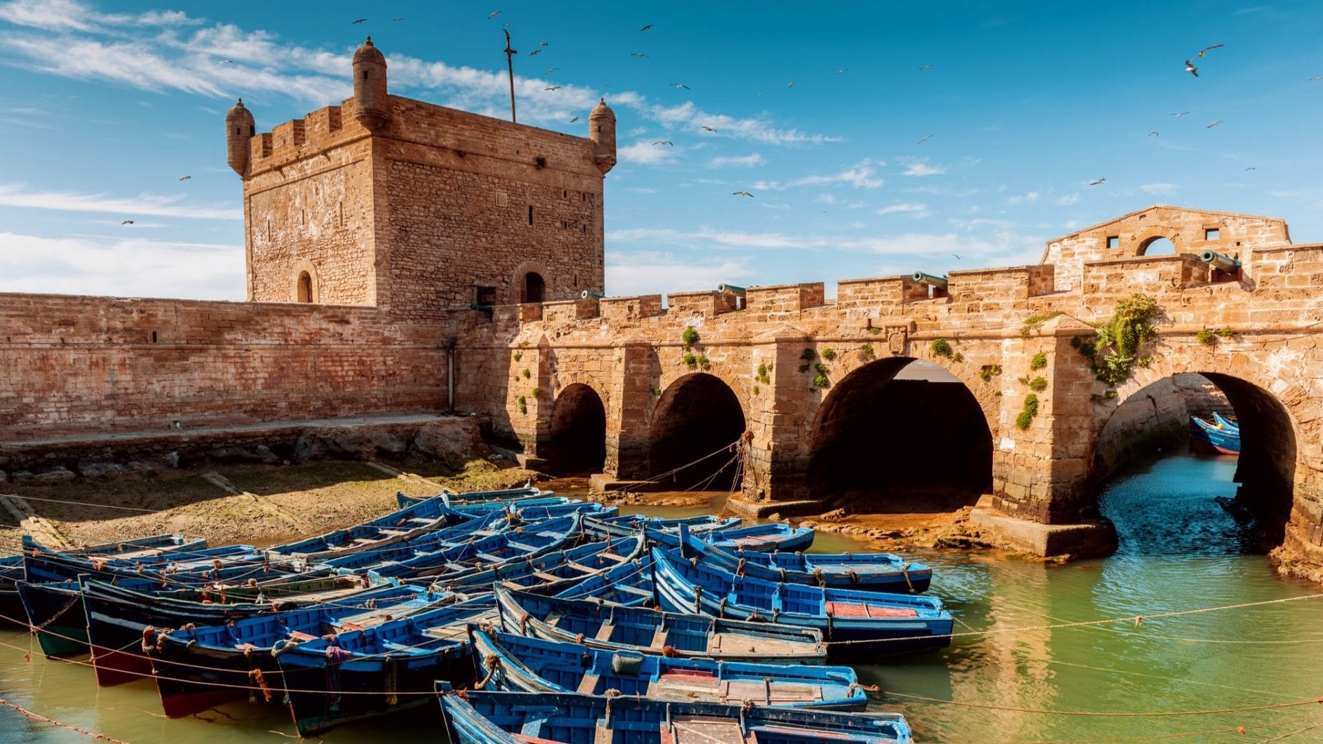 «L'âme des cultures» à Essaouira : une célébration de la coexistence religieuse