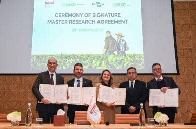 Maroc-Brésil : unis pour l’agriculture durable