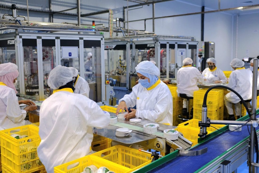 Droits humains et entreprises : les ombres du secteur agroalimentaire