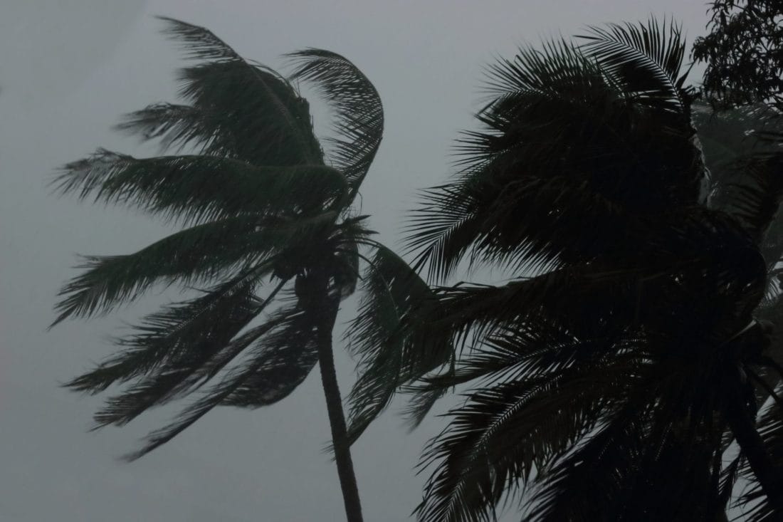 Alerte météo : neige et vents violents attendus dimanche et lundi