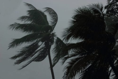 Alerte météo : neige et vents violents attendus dimanche et lundi