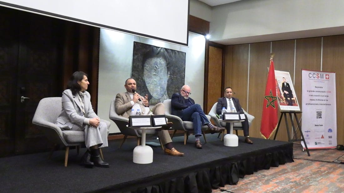 La transition énergétique et la décarbonation : enjeux et opportunités pour les entreprises marocaines