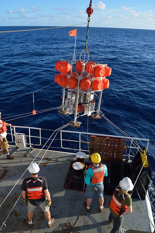the cruise DeepCCZ