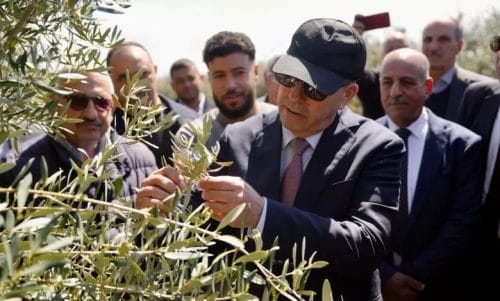 Agriculture : Ahmed El Bouari évalue l’impact des récentes pluies