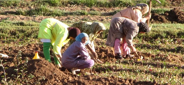Femmes rurales : un potentiel économique sous-exploité