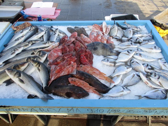 Initiative «Hout b’Taman Maaqoul» : distribution de plus de 4.000 T de poissons congelés
