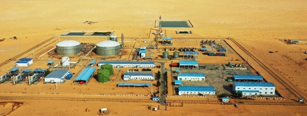 L’AES condamne la destruction d’un drone malien par l’Algérie