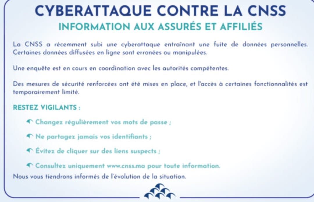 WhatsApp Image 2025 04 13 at 13.11.08