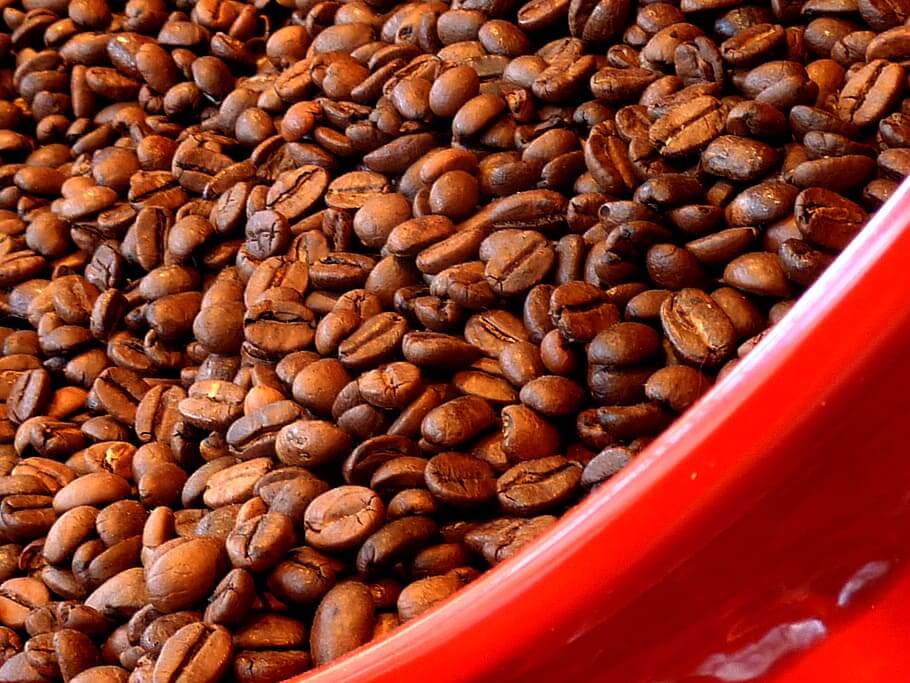 Ethiopie : les exportations de café ont atteint 1,87 milliard de dollars