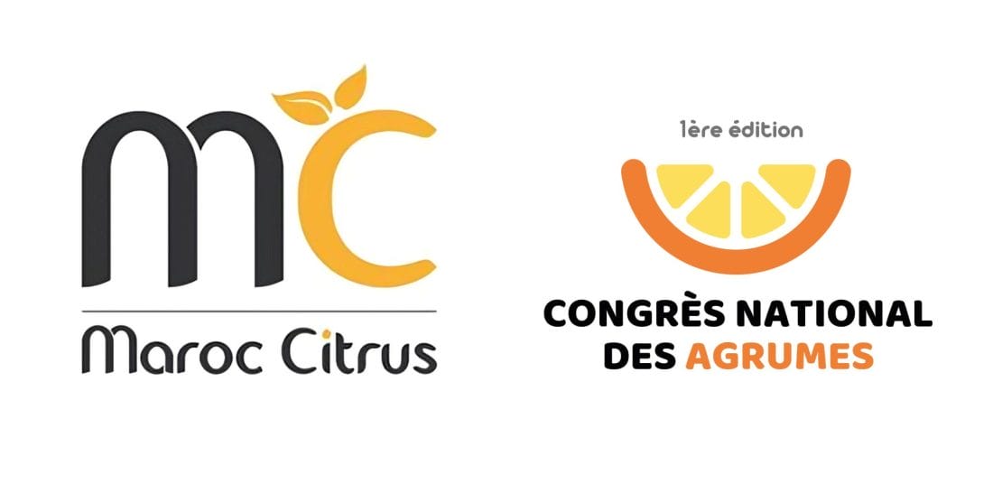 À Marrakech, les agrumes s'invitent au chevet de l’agriculture marocaine