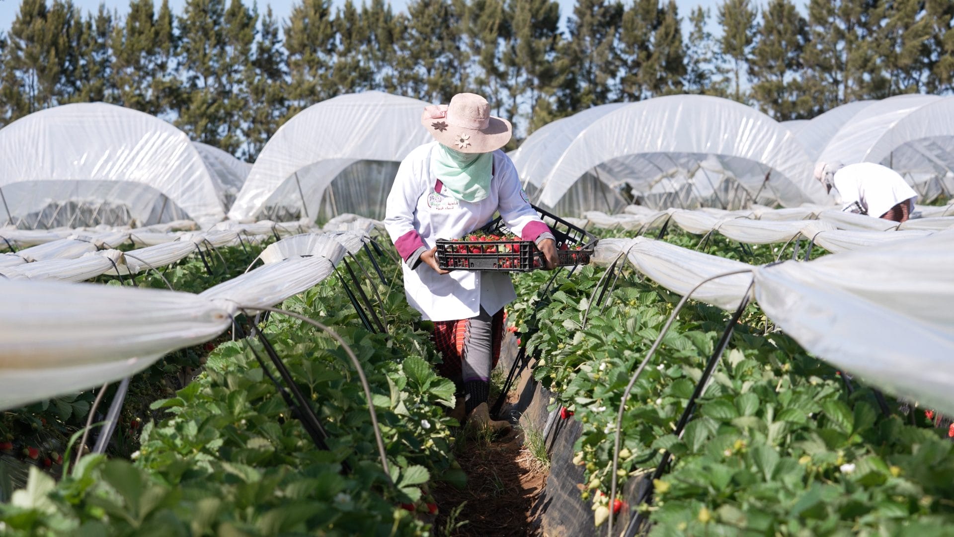 Fondation OCP : plus de 200 projets au service du développement durable