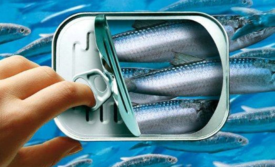 Le Conseil de la concurrence enquête sur les prix de la sardine industrielle