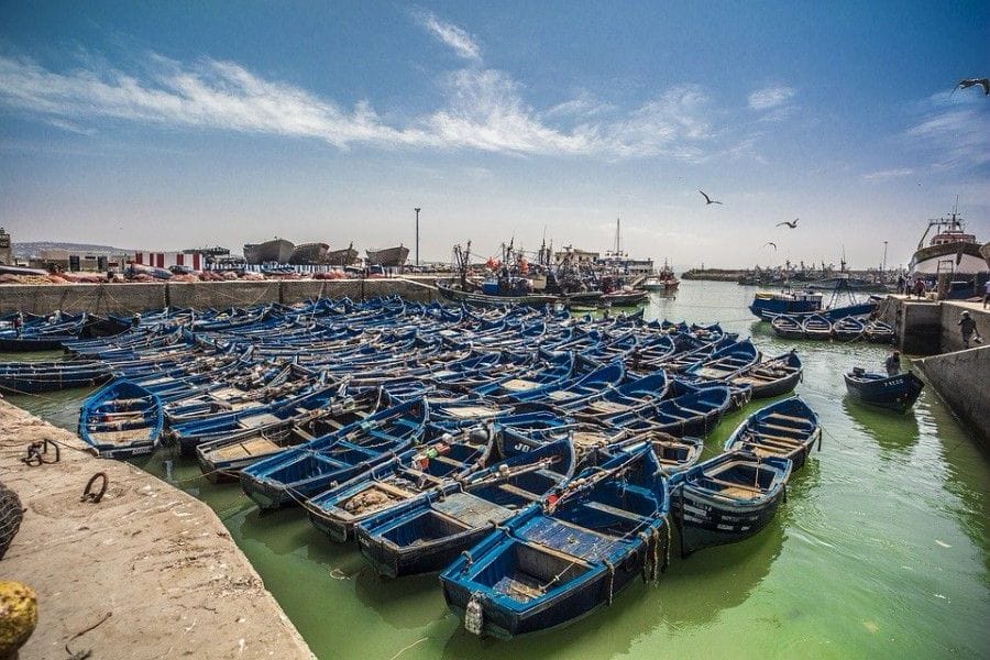 Port d’Essaouira : -37% de poissons débarqués en trois mois