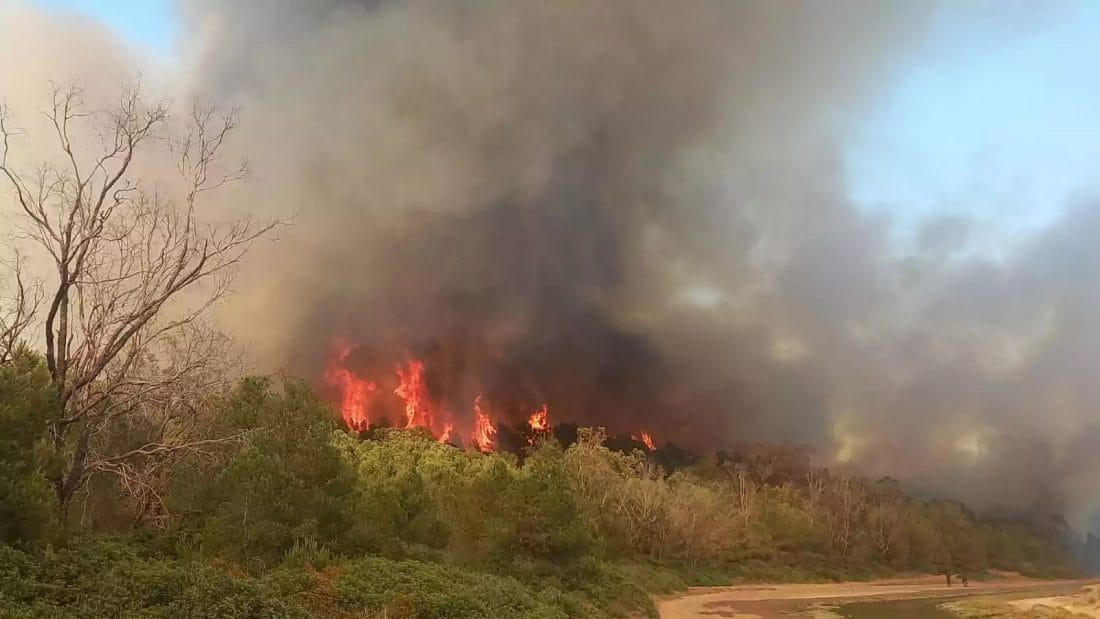 Feux de for&ecirc;ts : l&rsquo;ANEF appelle &agrave; la vigilance
