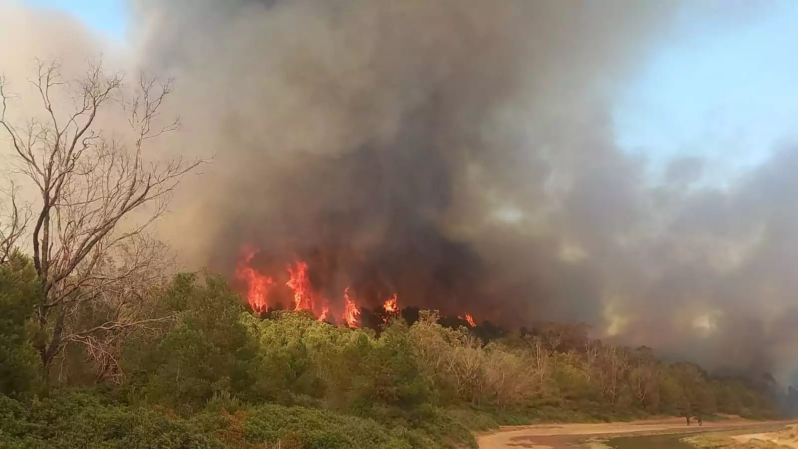 Feux de forêts : l’ANEF appelle à la vigilance