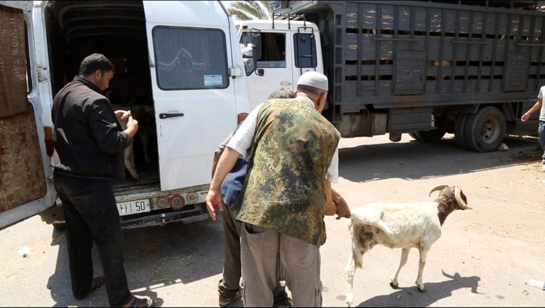 Aïd Al-Adha : la viande flambe, la pression monte à Casablanca
