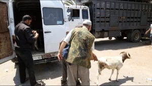Aïd Al-Adha : la viande flambe, la pression monte à Casablanca
