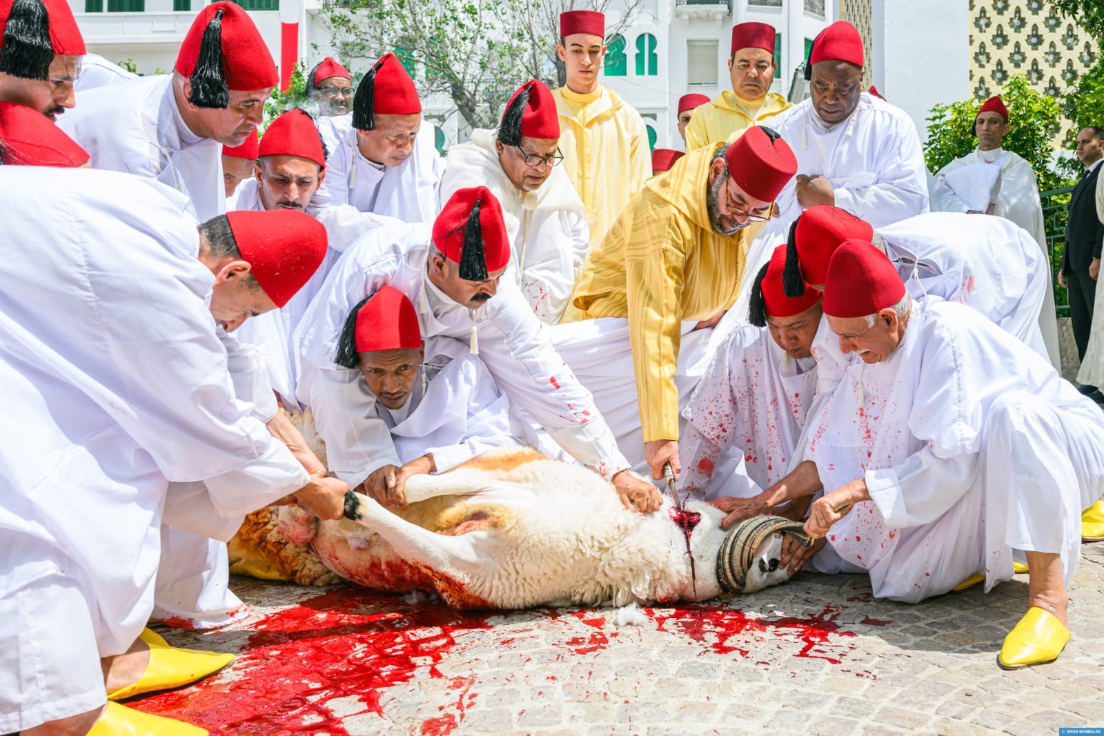Le Souverain accomplit le rituel au nom des Marocains