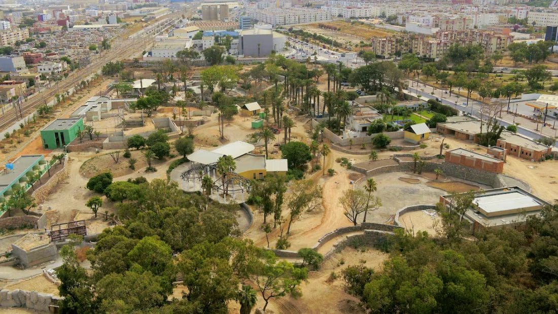 Casablanca : le zoo d’Aïn Sebaâ inauguré en décembre, en phase avec la CAN 2025