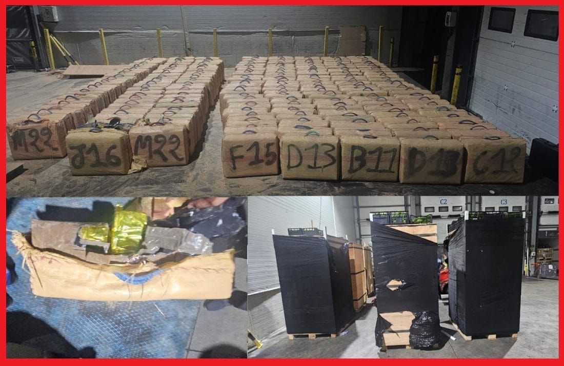 Tanger Med : plus de 7 tonnes de résine de cannabis saisie par la douane