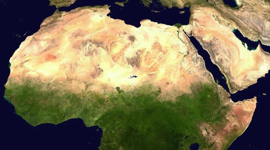 L'AIEI lance une cartographie des politiques du livre dans le monde arabe