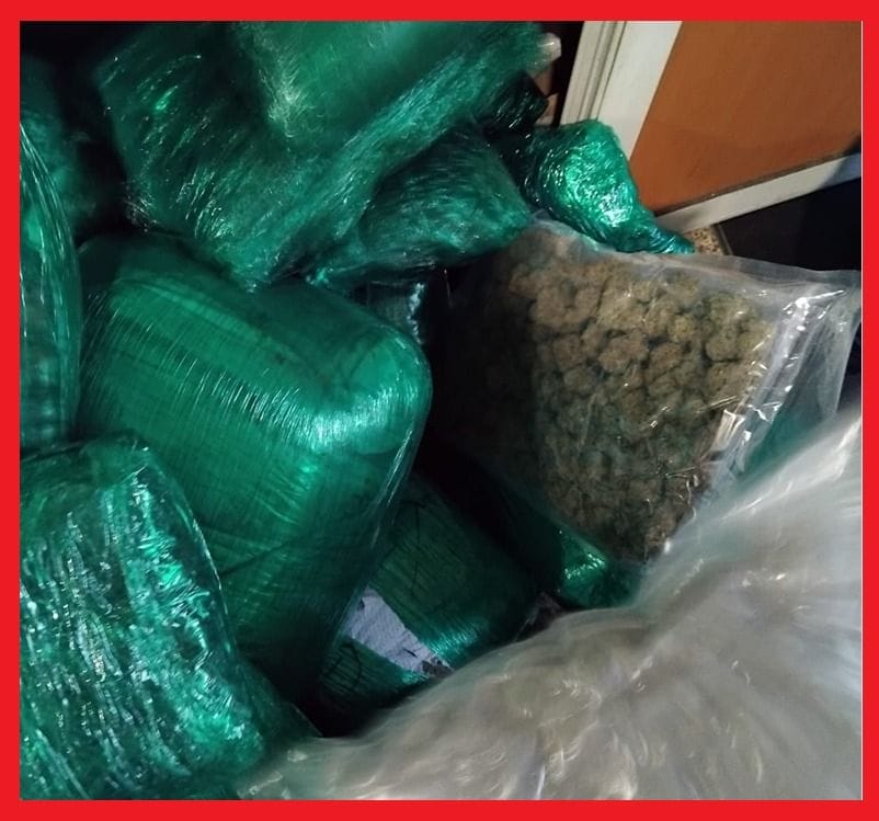 Deux Canadiens arrêtés à Casablanca pour trafic de marijuana 2 Deux Canadiens arrêtés à Casablanca pour trafic de marijuana