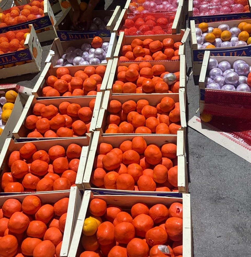 Saisie de plus de 4 tonnes de drogue au port de Tanger Med