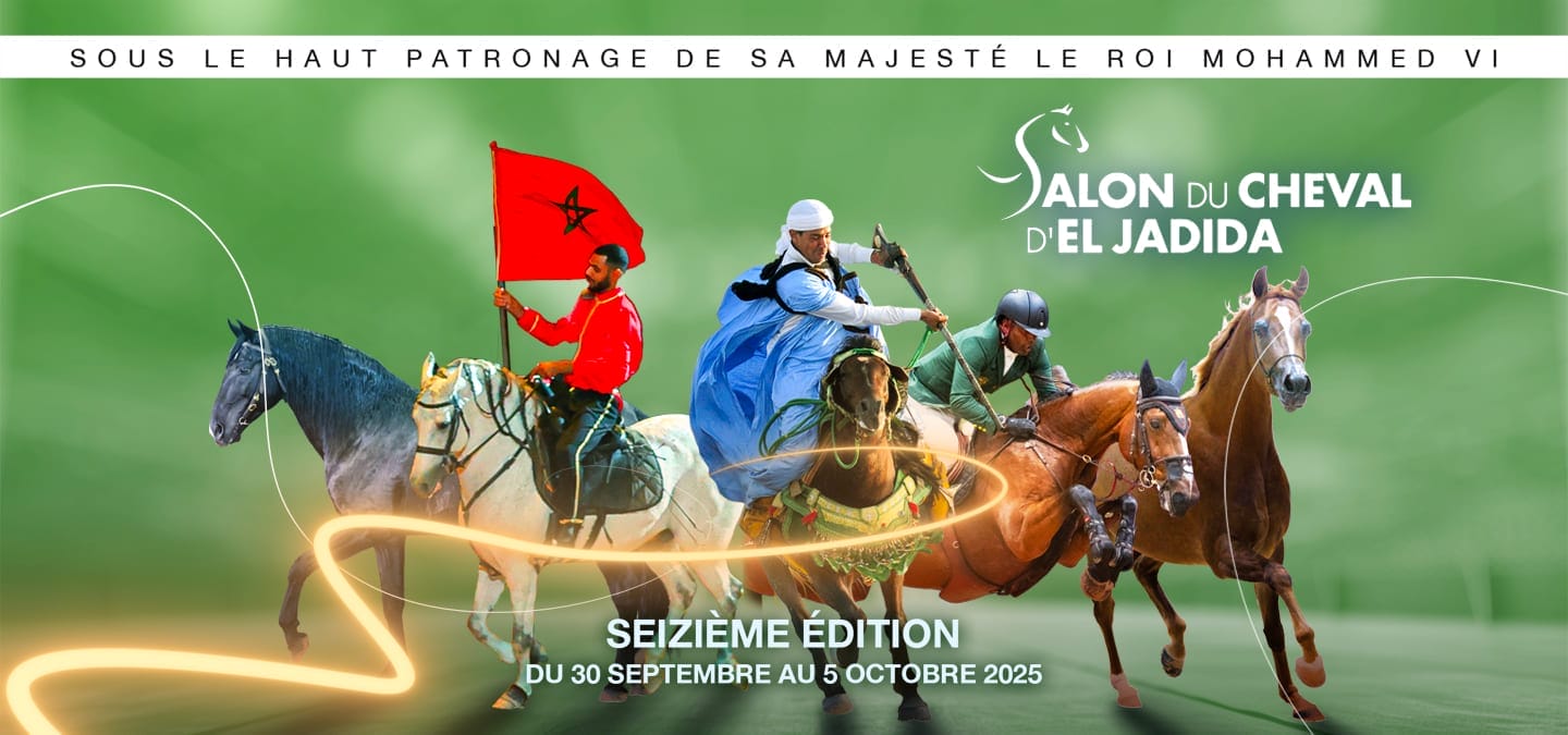 Salon du cheval d'El Jadida : le bien-être équin au cœur des débat