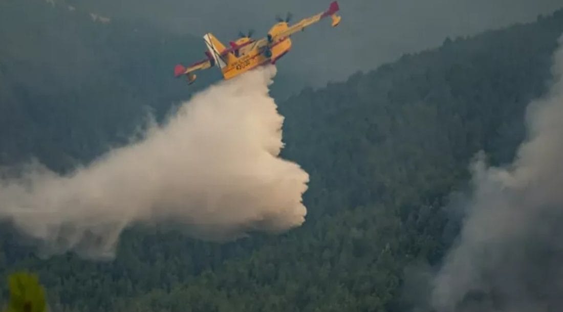 Incendie à Tarifa : hôtels évacués et lutte aérienne en cours
