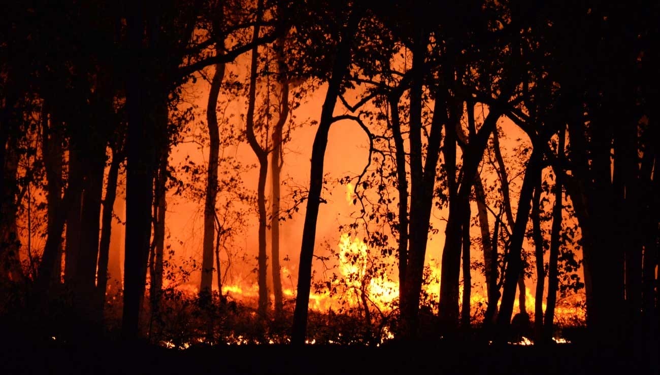 Canada : plus de 20 000 personnes menacées par les feux de forêt dans l’Est
