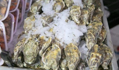 Dakhla : interdiction de récolte et de vente de coquillages dans plusieurs zones