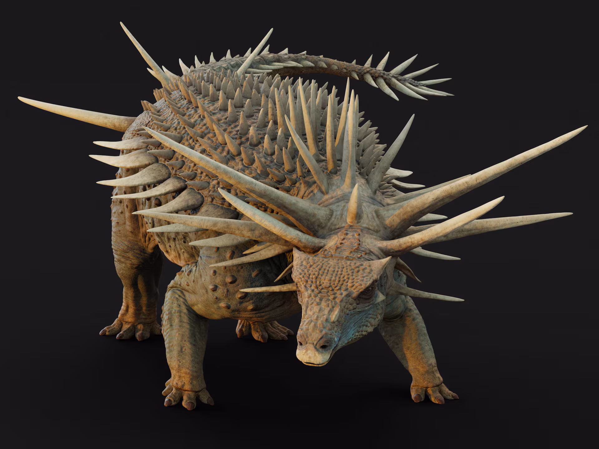 Un dinosaure couvert de piques vieux de 165 millions d’années découvert à Boulemane