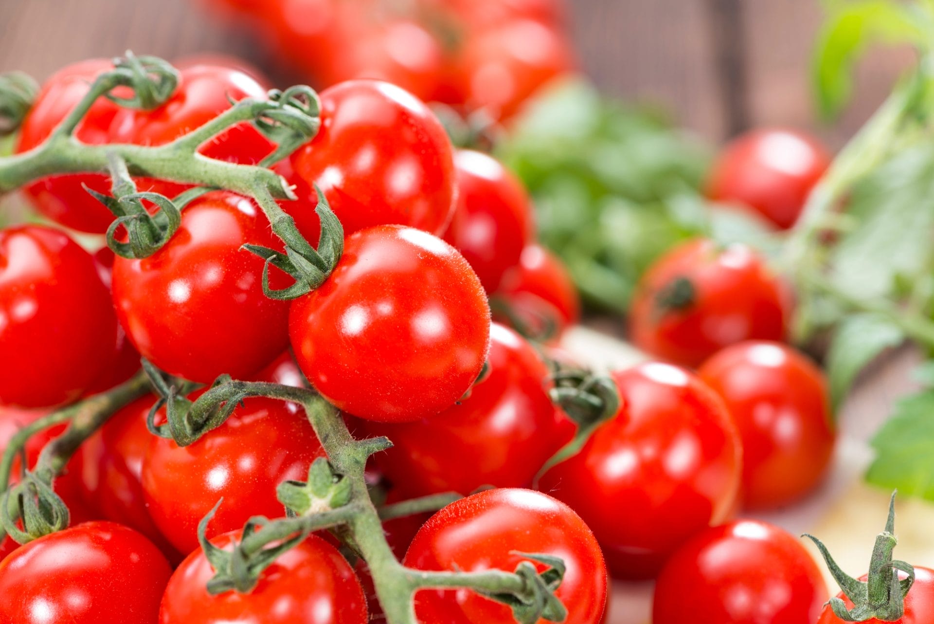 Exportations vers l’UE : pas de suspension pour les tomates crises marocaines